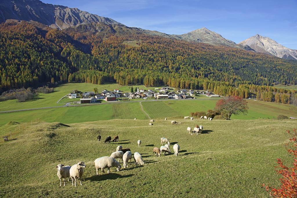 Hotel Landgasthof Staila Fuldera Exterior foto